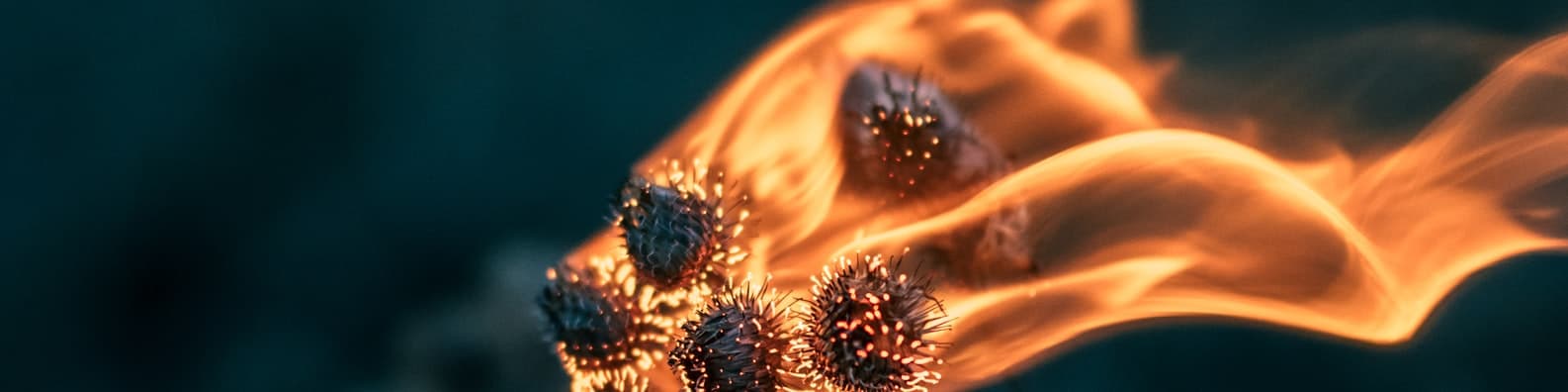 Do-Not-Play-With-Fire