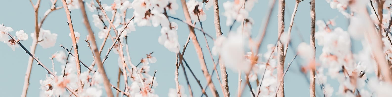 I-Could-Make-A-Necklace-Out-Of-These