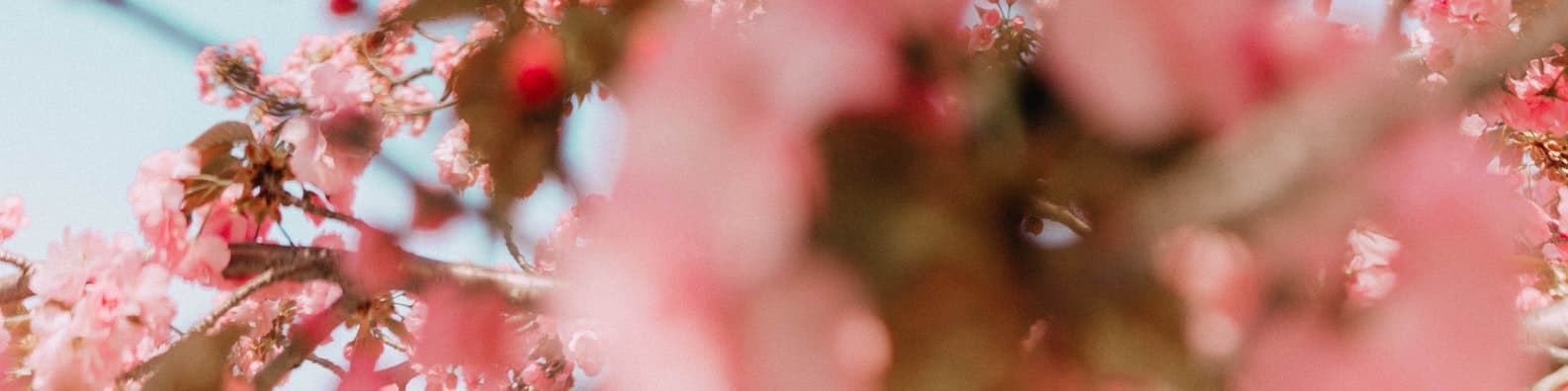 I-Have-To-Retake-This-Shot