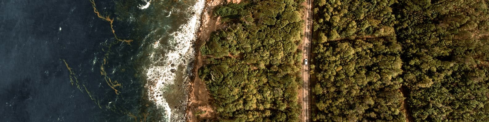 Looks-Like-Avocados-On-Toast