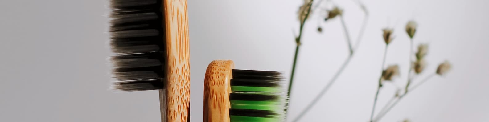 Do Not Forget To Brush Your Teeth