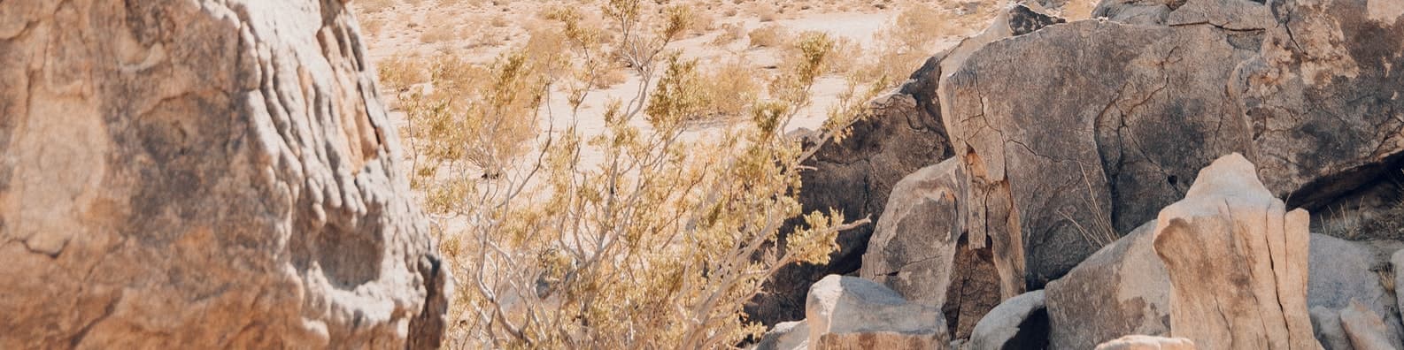 Today-Is-Such-A-Hot-Day