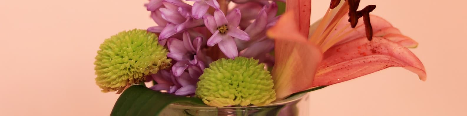 What Is Your Favorite Flower